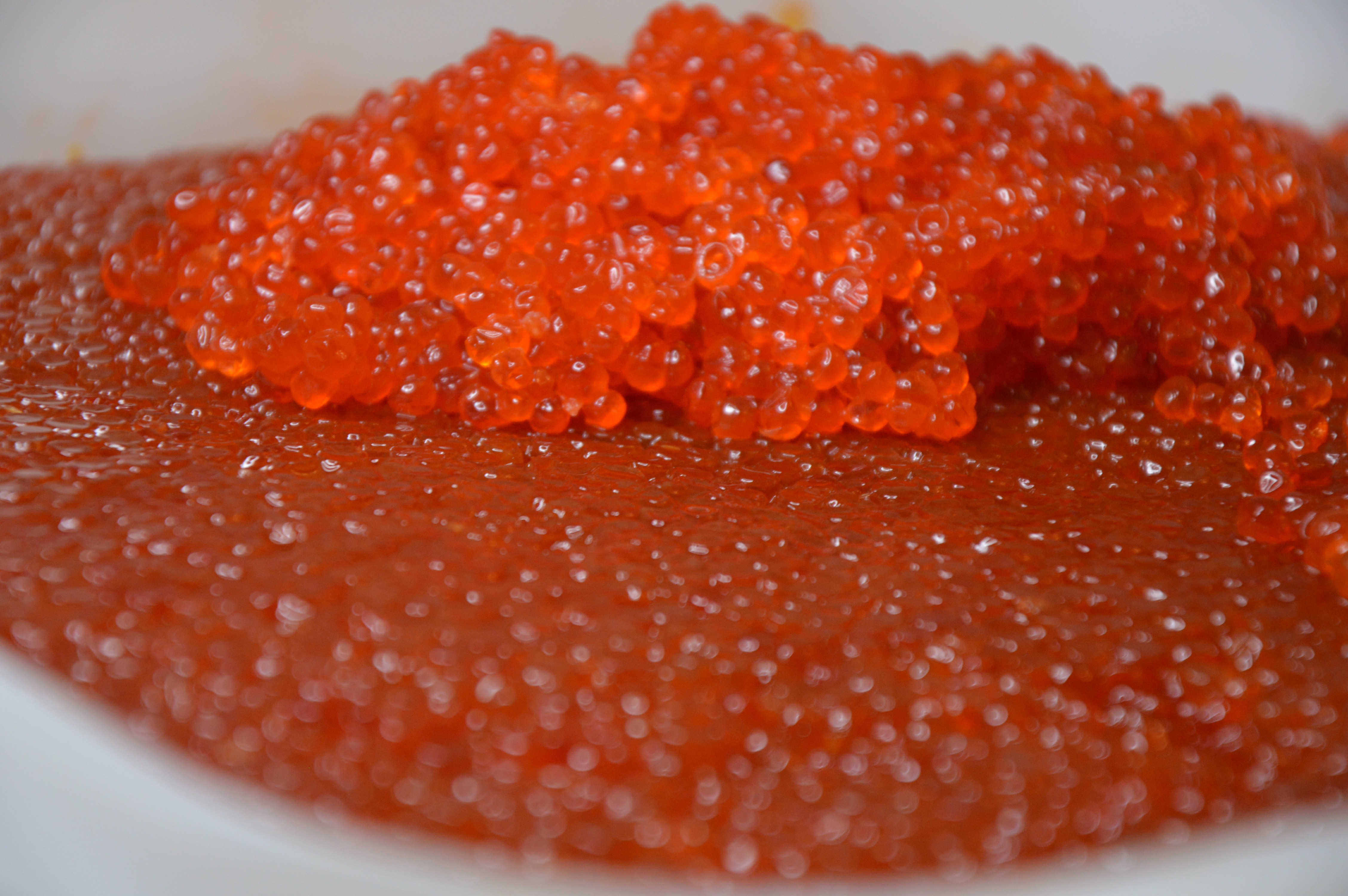 ������� � �������� �� ������� ����. ������ �� �� ��� 30 ��� 31 �������