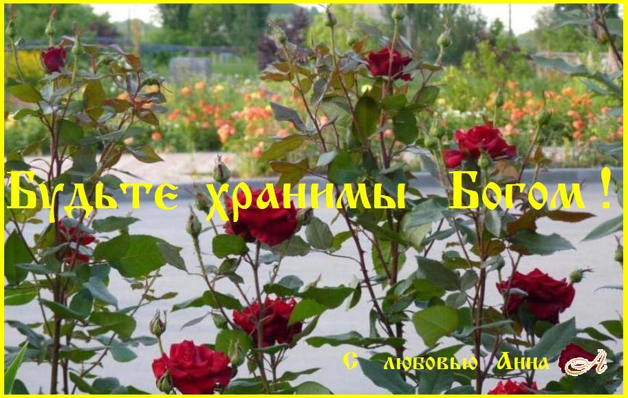 ������  �������  ����� !