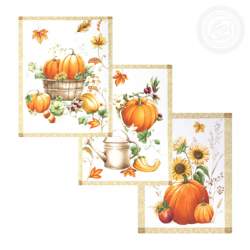 ����� ��������� �� ������� �������� ������ (3�� - 116�)