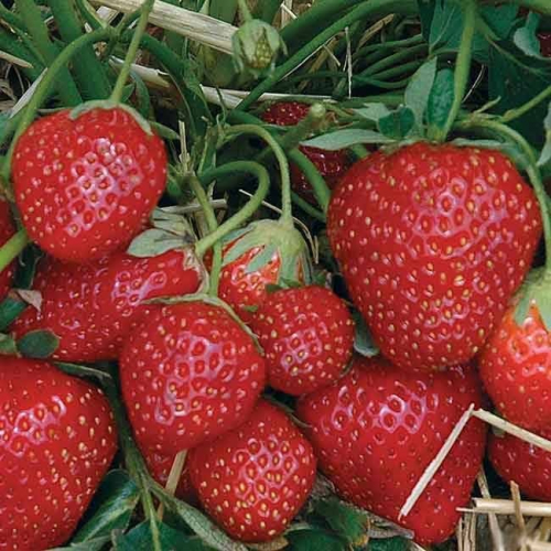 ���� ������� �� 10.09. ��������� 32 (��������, ��������) �� ��������, � ��� �� ������������ ���������� � ������� ����������� ������.