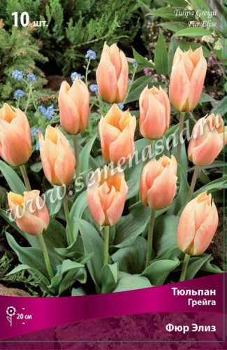 ����� ������ ��������� ��������! ������� �� ��.������!