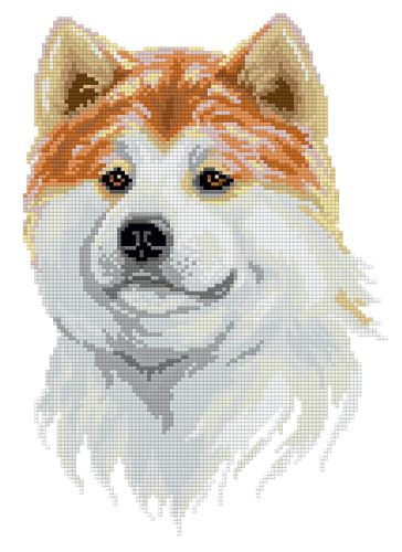 ���� �������. �������� �������: ������� �� 165� ������� �� 132�. ������� ��������, ������������ ������ 11/20