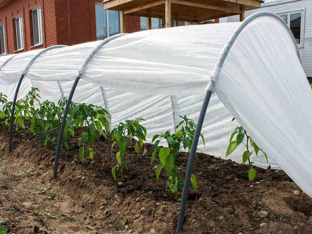 ���� ��� ������� ��������� ������ � ��� ������ ����������� ������� �������� ��� ������.������� ������.