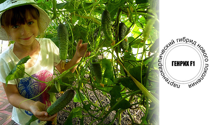 ������ ������ � �������� ������ �� �������� ����������. ��� �����! ��������� ���.���� �� ���������� 16%!