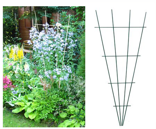 ����� ����!������� ����,������� ,������������� ���������,�������������� � �����.���� � 2 ���� �������, ��� � �������.����� 10  