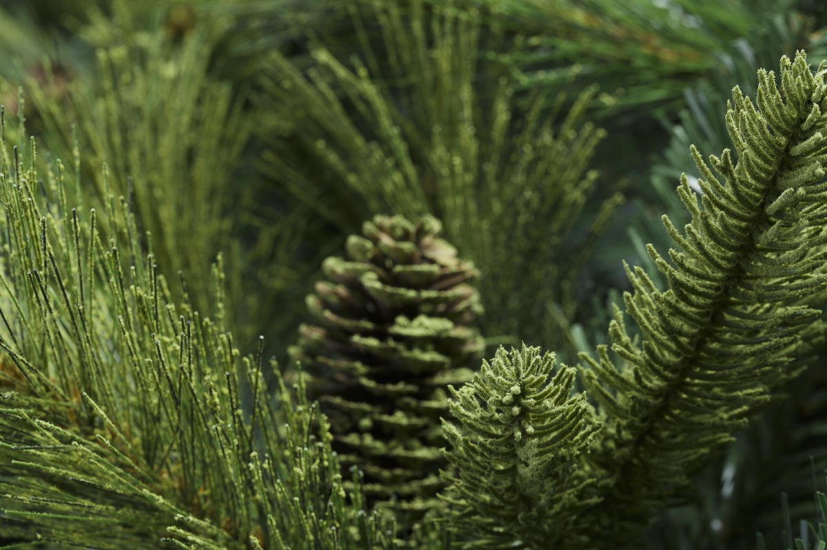 >   ���� �� 30.09. ������ ������ ������������ ������� � ����������� ����! ���������� ������������� ������ Erbis - �� ��������� �� ��������, ������, �������c��� ��������! �������� - ����� ����������!-11