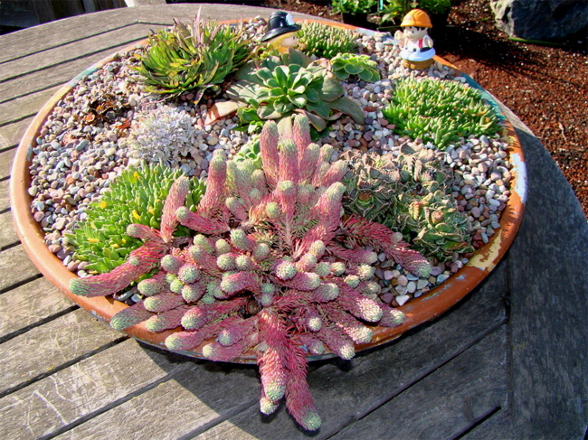 ��������! ��������� ������� ��������� � ���� ����! ���������!!! 