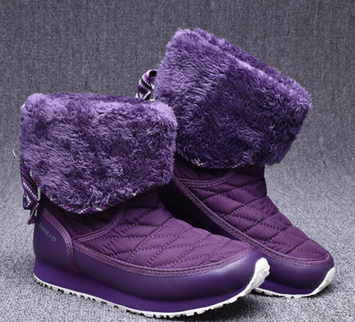 ������ ������� ����: 1890 �   �����: Toread  