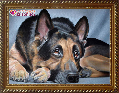 ���� �������. �������� �������: ������� �� 165� ������� �� 132�. ������� ��������, ������������ ������ 12/20