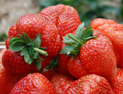 ���� �������. ��������� 33 ��� (�� �����) �� 01.10.