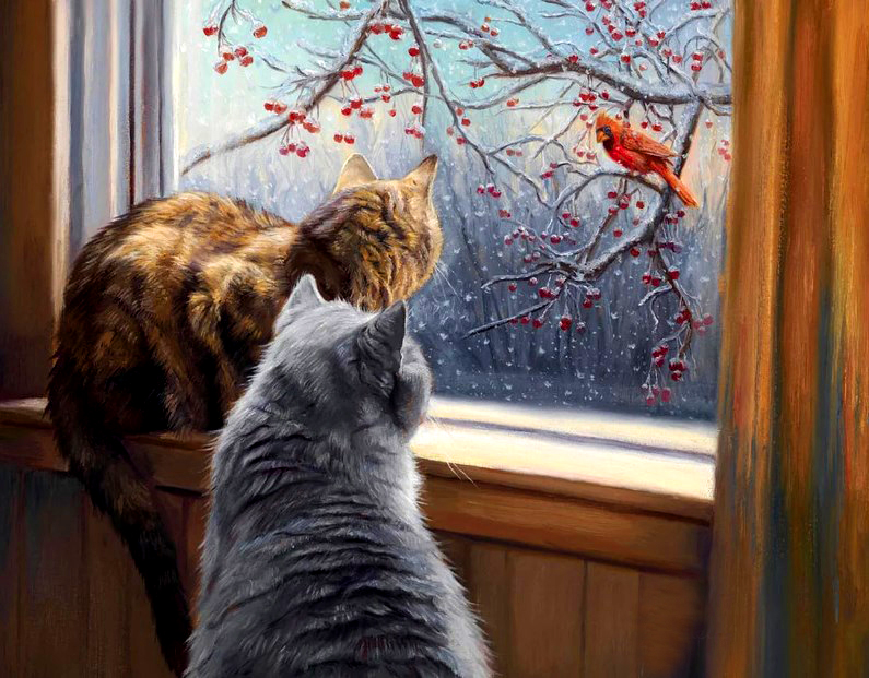 ����� ����!���������������!���������� ���� ����������.����� 500 ����� ������� ������ �� ������� �� ���� �� 300 ���.�������� ������� � �������� ����� � ������������.����� 108