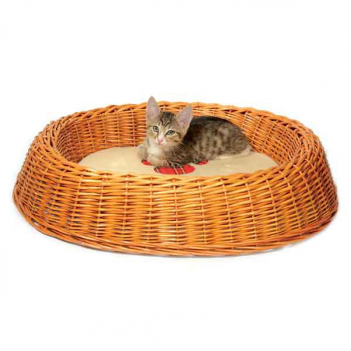 ������ ��� ����� � �����. ���� 12.10.2020