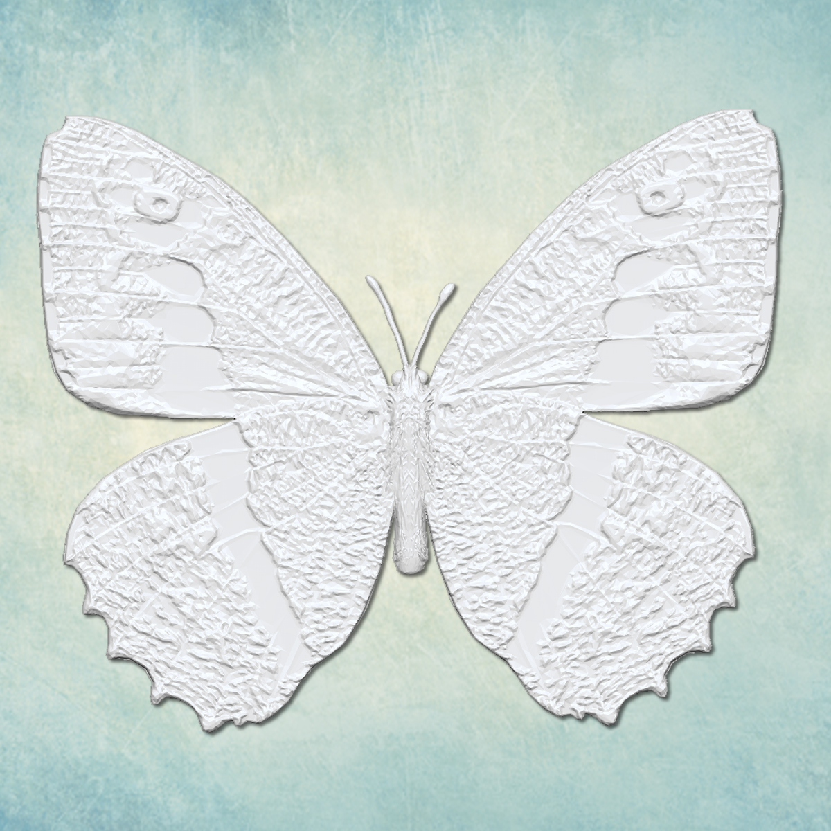 ���� "������� 6" (L)