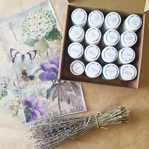 ����� «�������» ��� �������������