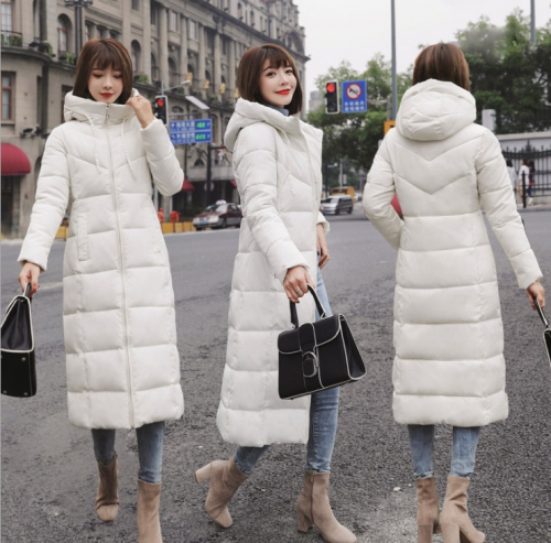 ������ ����! ���� ���� �� ������ �� 1510���