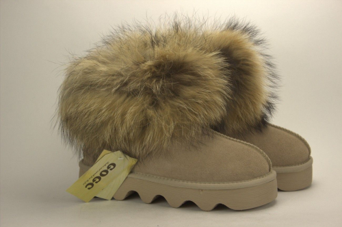 ���� �������. ����� �� ����� ����� �� ������ ������ ������, ��������, ������, ����� � ������. ��� �����! ������ �����������! ������ ���� � ������������ ��������! ���� �� 150 ���! �����-14.