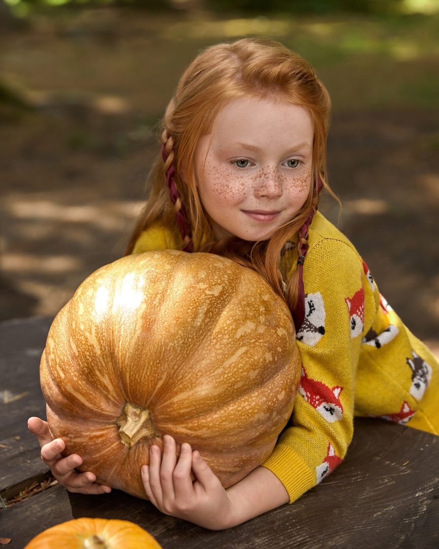 ���� 204, �������!