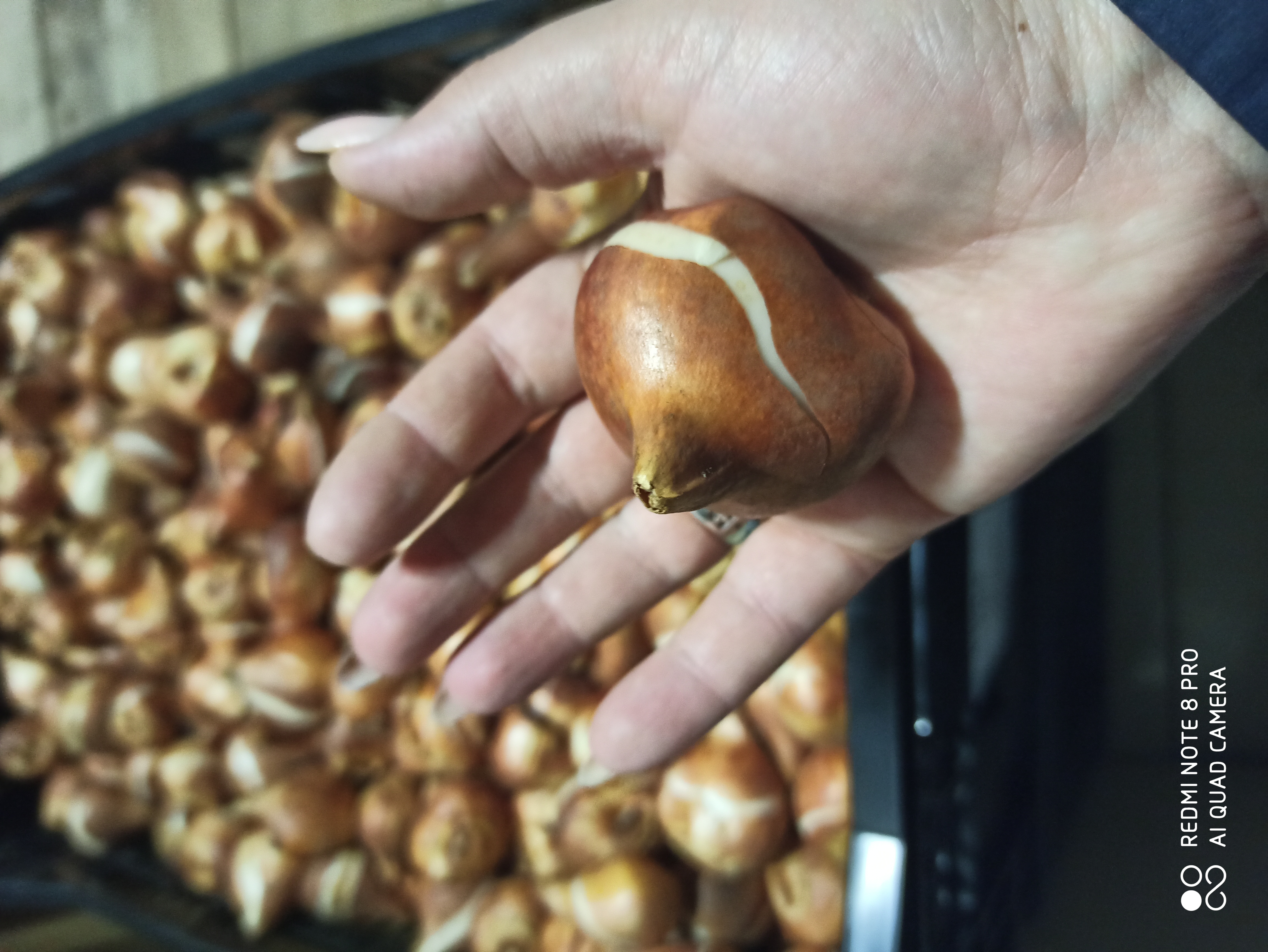 ���� �������. 13.10 ������ ��������! ����������� �������� �������� 12+ � 14+!