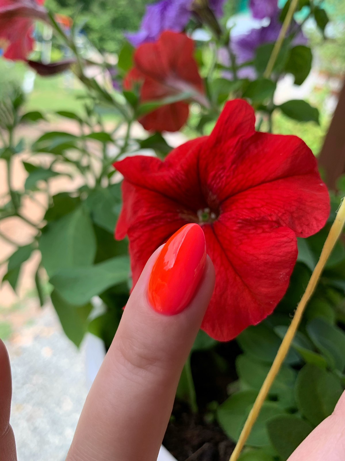 [b]������� �  ��������� ������.[/b]