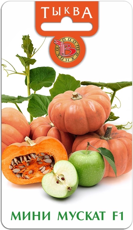 ������ ��� ������ ���� �� �������� ����������-20. ����� � ������� ������� ������� ��� ������� � ��������������� �������! ��� �����!