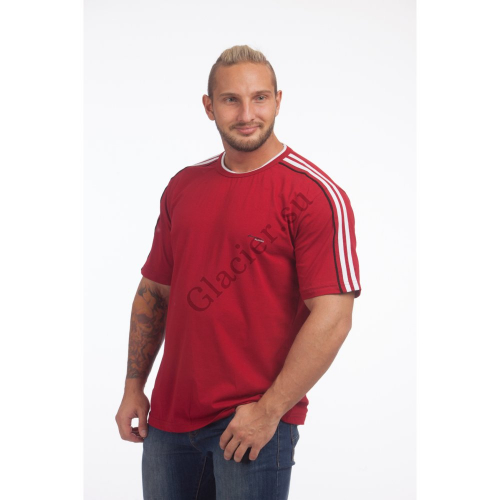 �������� � ���������� ����� - �������� 54-56 � 56-58