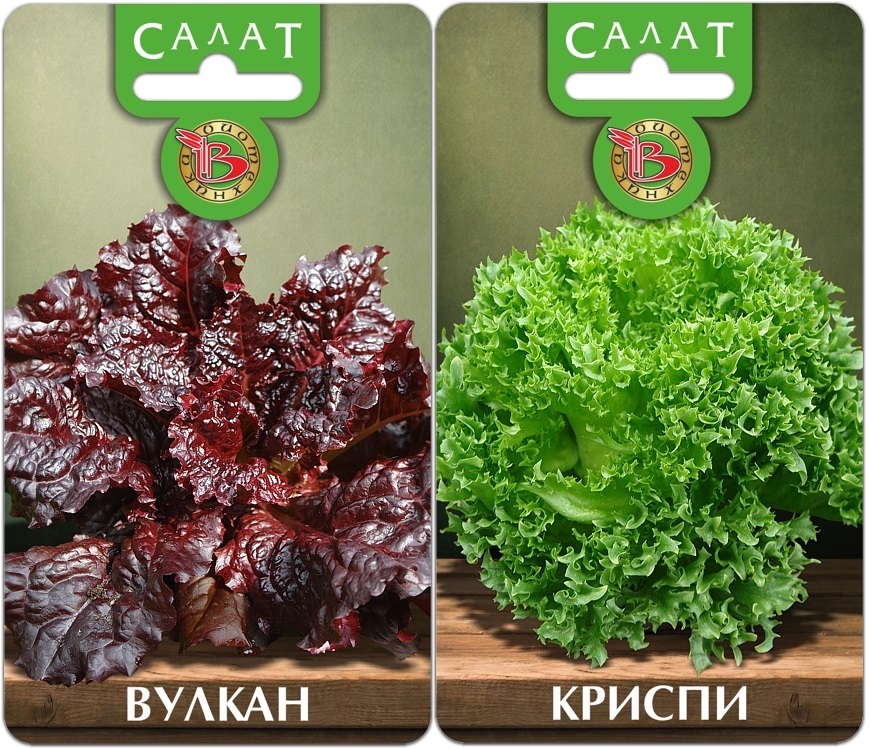 ����� ����� ������� ������ � ������!