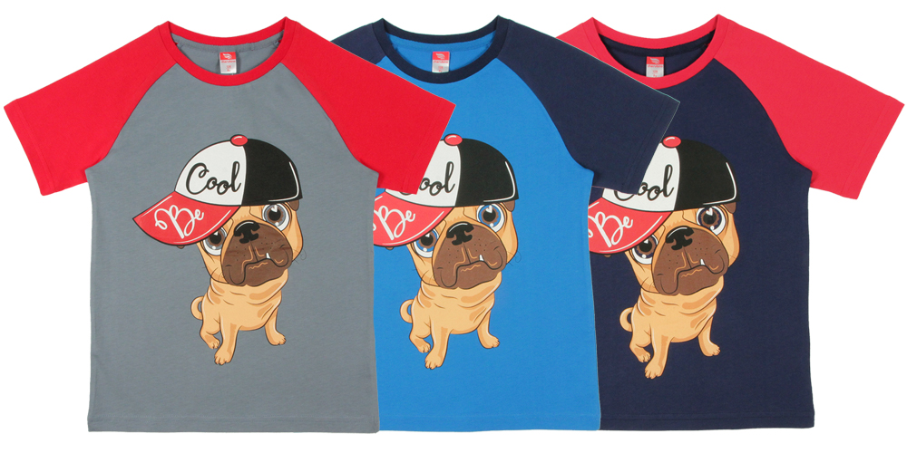 �������_Che*r�*bin0_��� ���������- ��������, ��������, �����