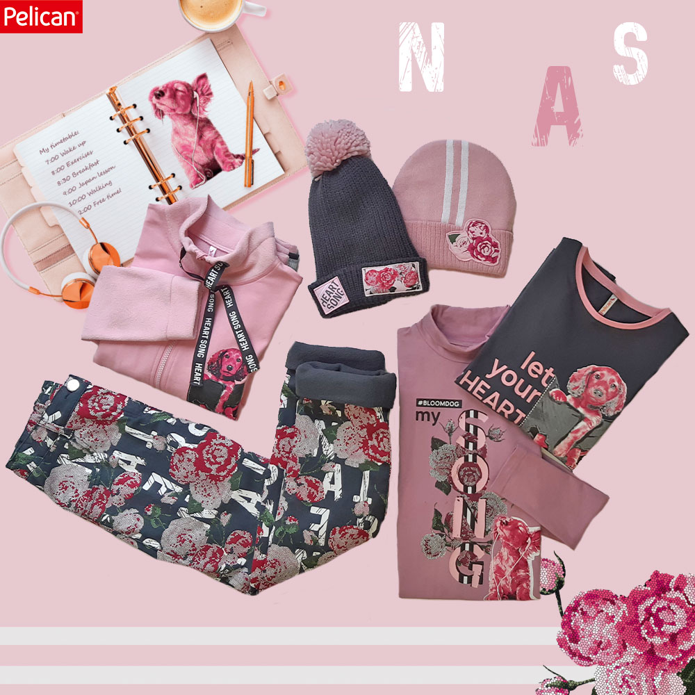 ���� �������. ������� �������� Pelican. ���������� �� -50%. ��������� ����� ��������� �����-2020. �����-179. ���� 18 �����.