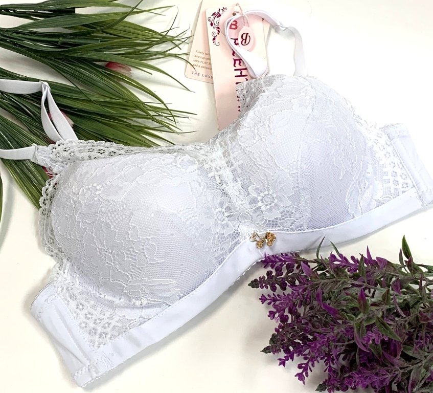 ������� ������ ����� �� ��������� ���� �� 290 ���.������� >>>>