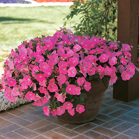 ����������� ����� ! ����� 4000 ������ ������, ������, �������� �������, ��������� ��������. *����� ������ �� 2���* ! ����� 32.