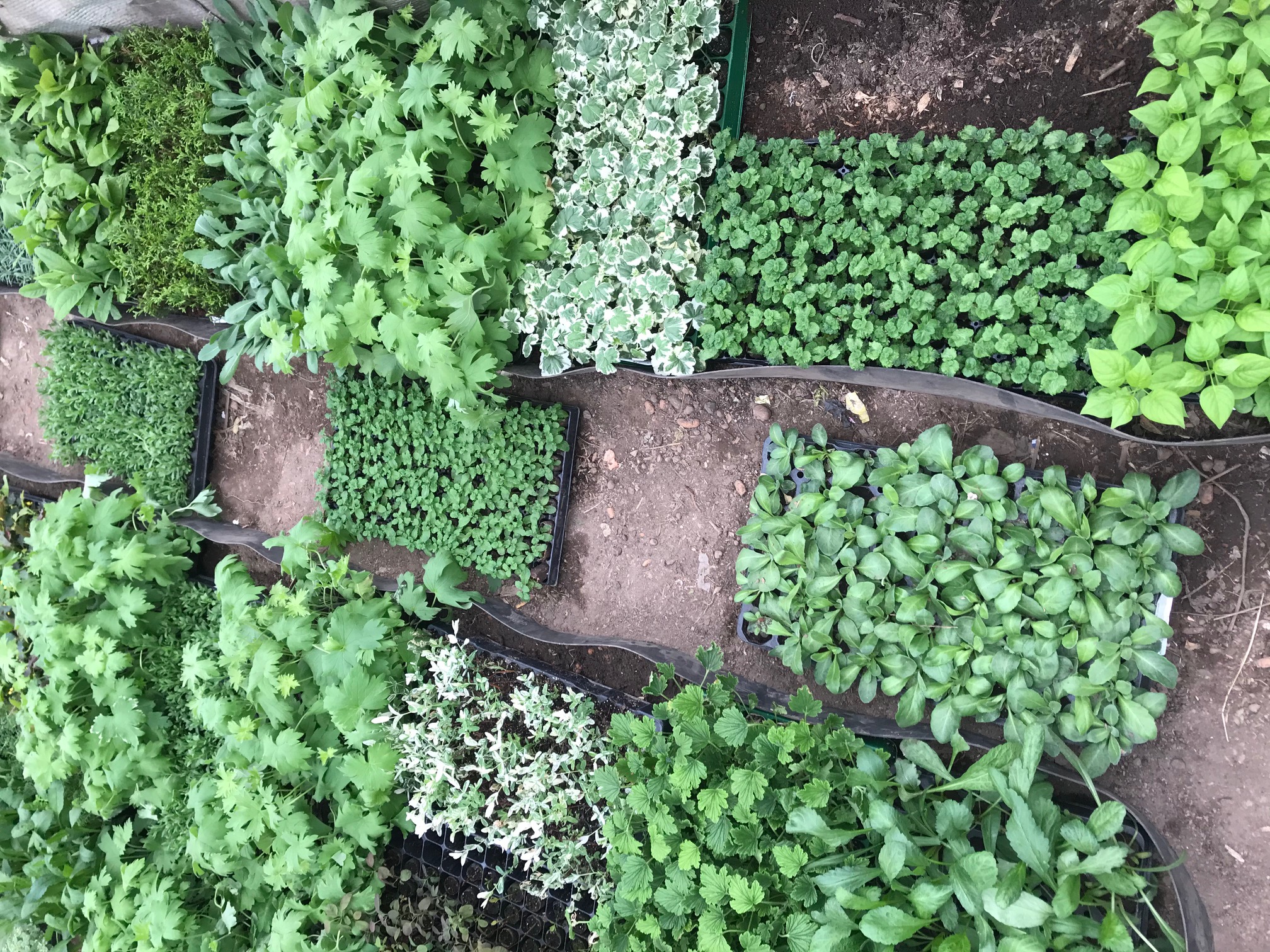 ���� �� 8.11 ������������ �� ��������*���� ������*���� ��������� - ����� ������, ����, ��������. ��������� �� ����� ������ 2021 