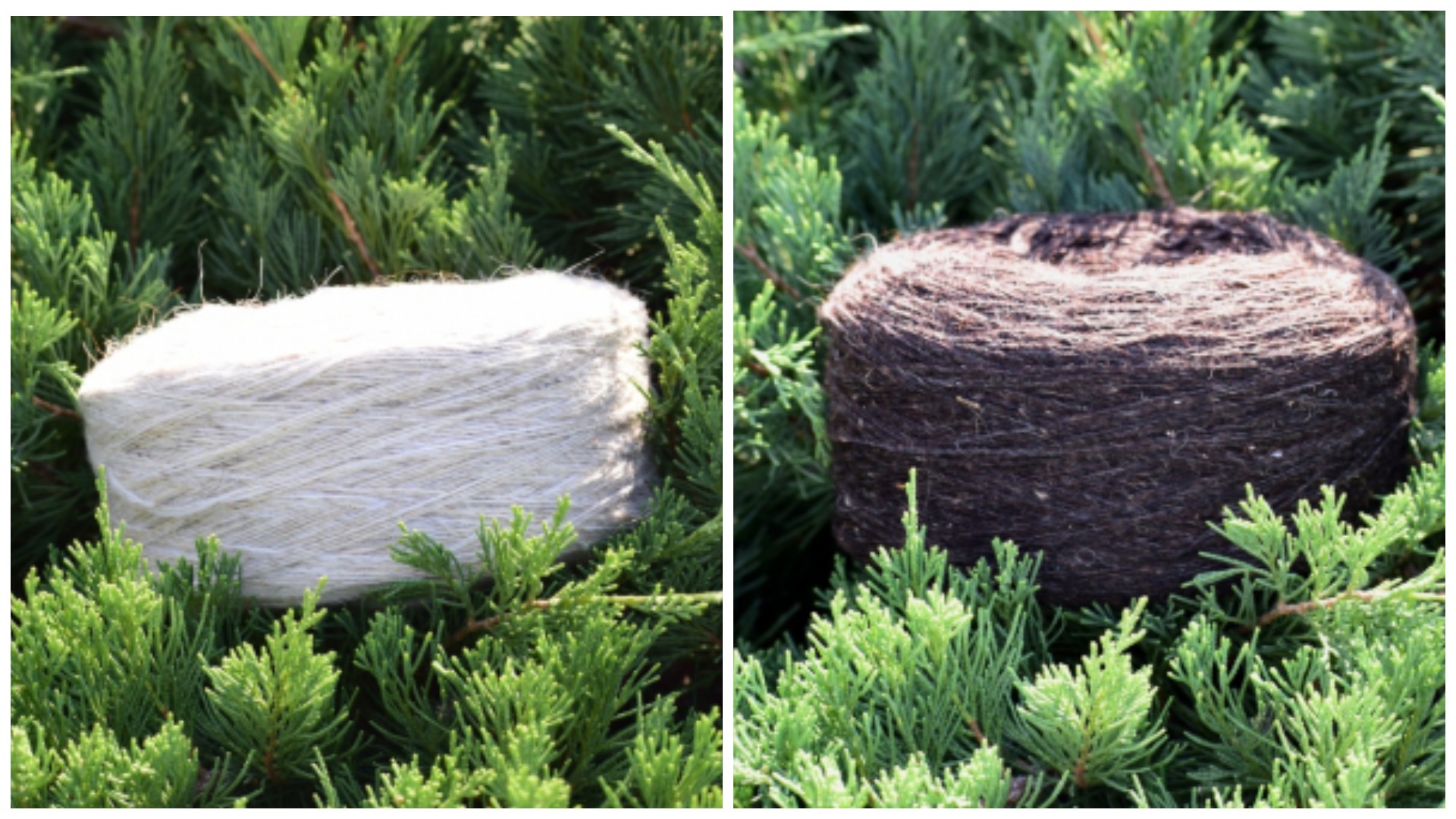 ��� ����� ������??? ��������� ����� �� 90 ���. �� 250 ��!!!!!