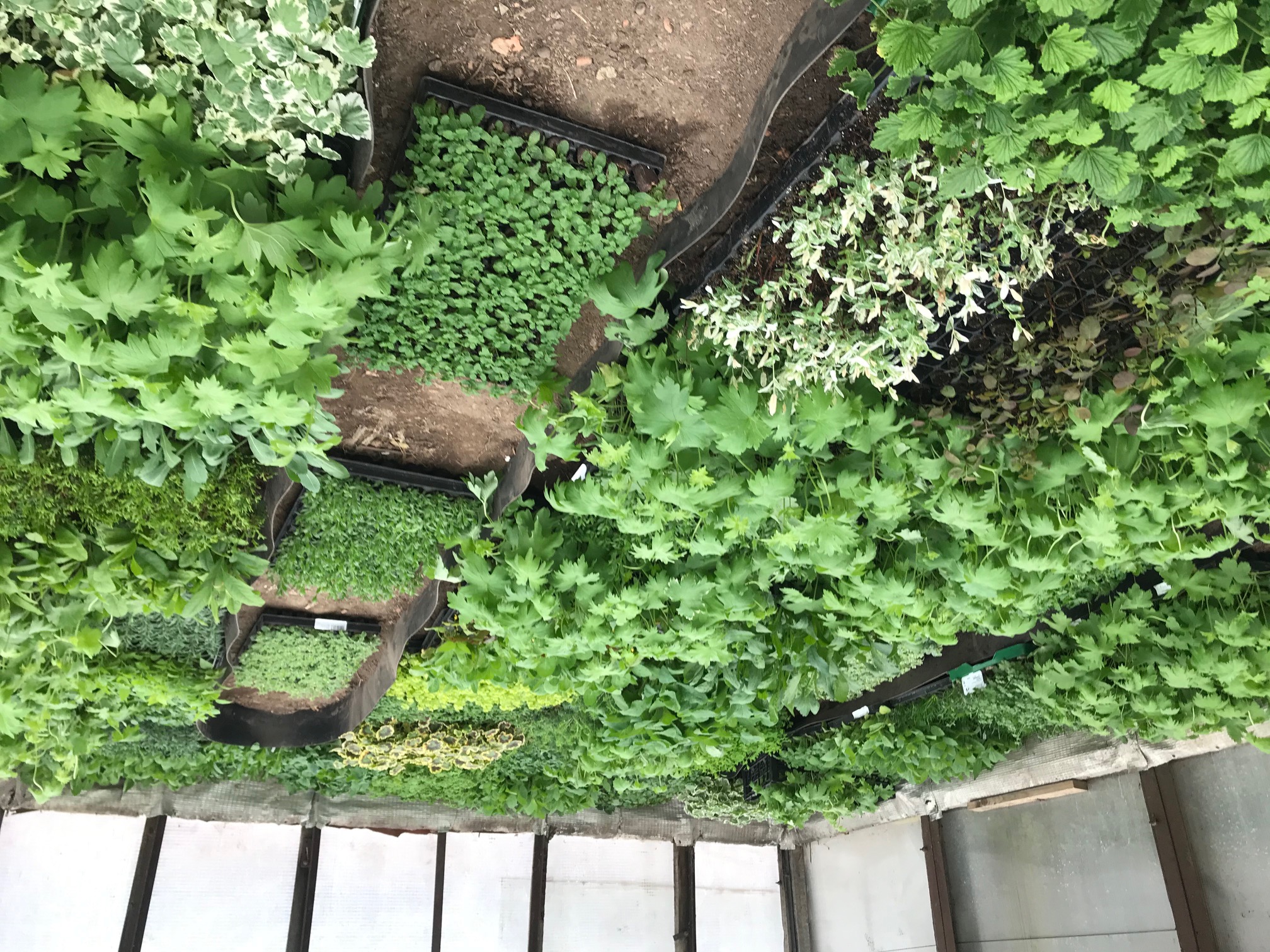 ���� �� 15.11 ������������ �� ��������*���� ������*���� ��������� - ������������, ������, ������. ��������� �� ����� ��� 2021