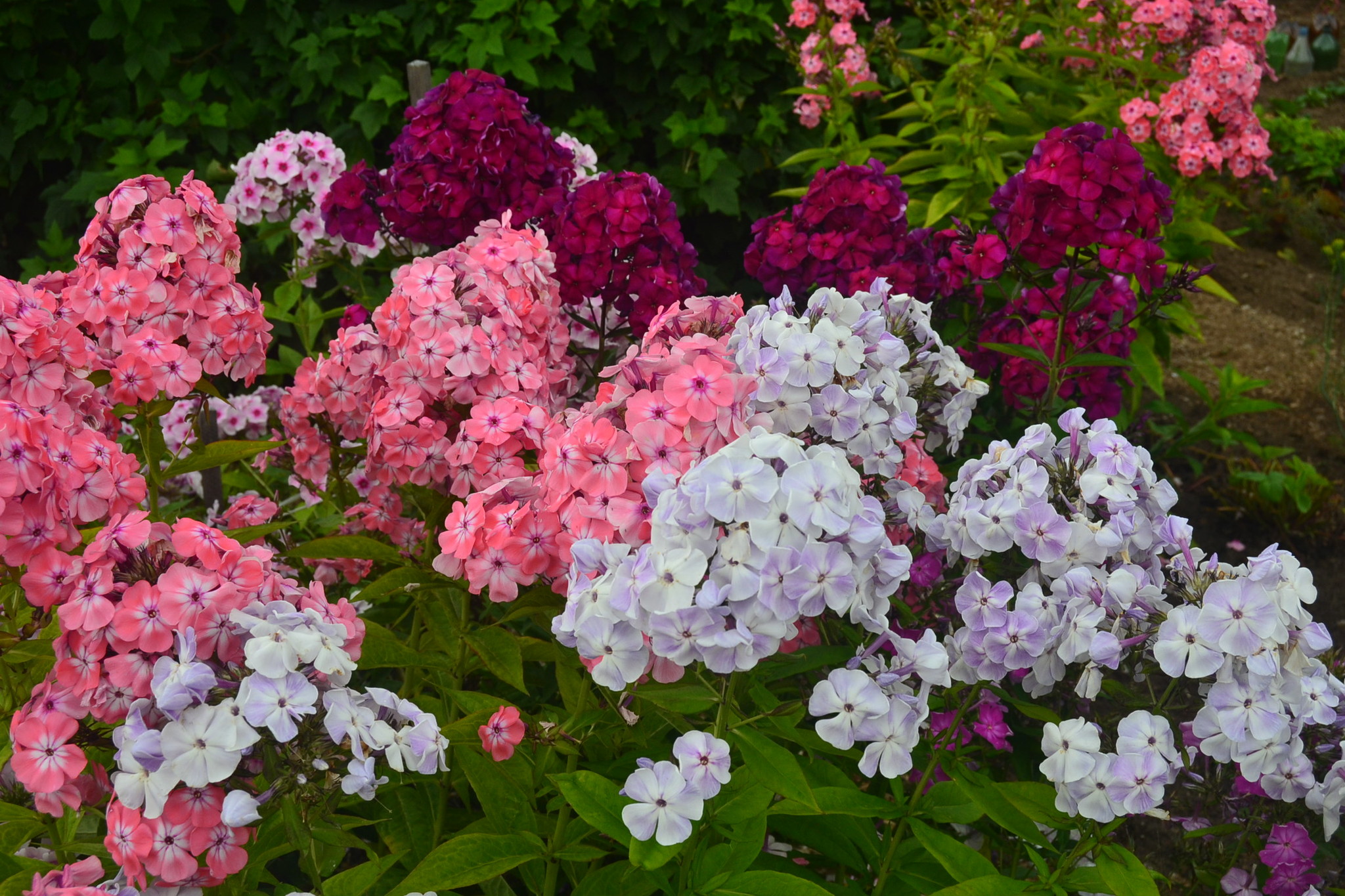 ���� ������� �� 29.11. ������ ������������� � ��������� �������� - ������� ����� - 42 �����. ��� � ������� � ��������� ������������� �������.