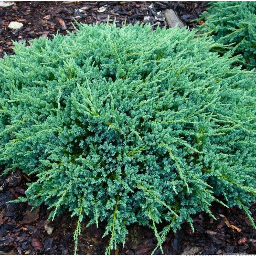 	���� �� 27/11 .��������� �� ����� 2021. ������� �������� ��**��**��**��. ������������ � ������� ��������. ������� ��� . ������� ��������, ���������. �������� �������� 2-�, 3-� �����. ���. � 23