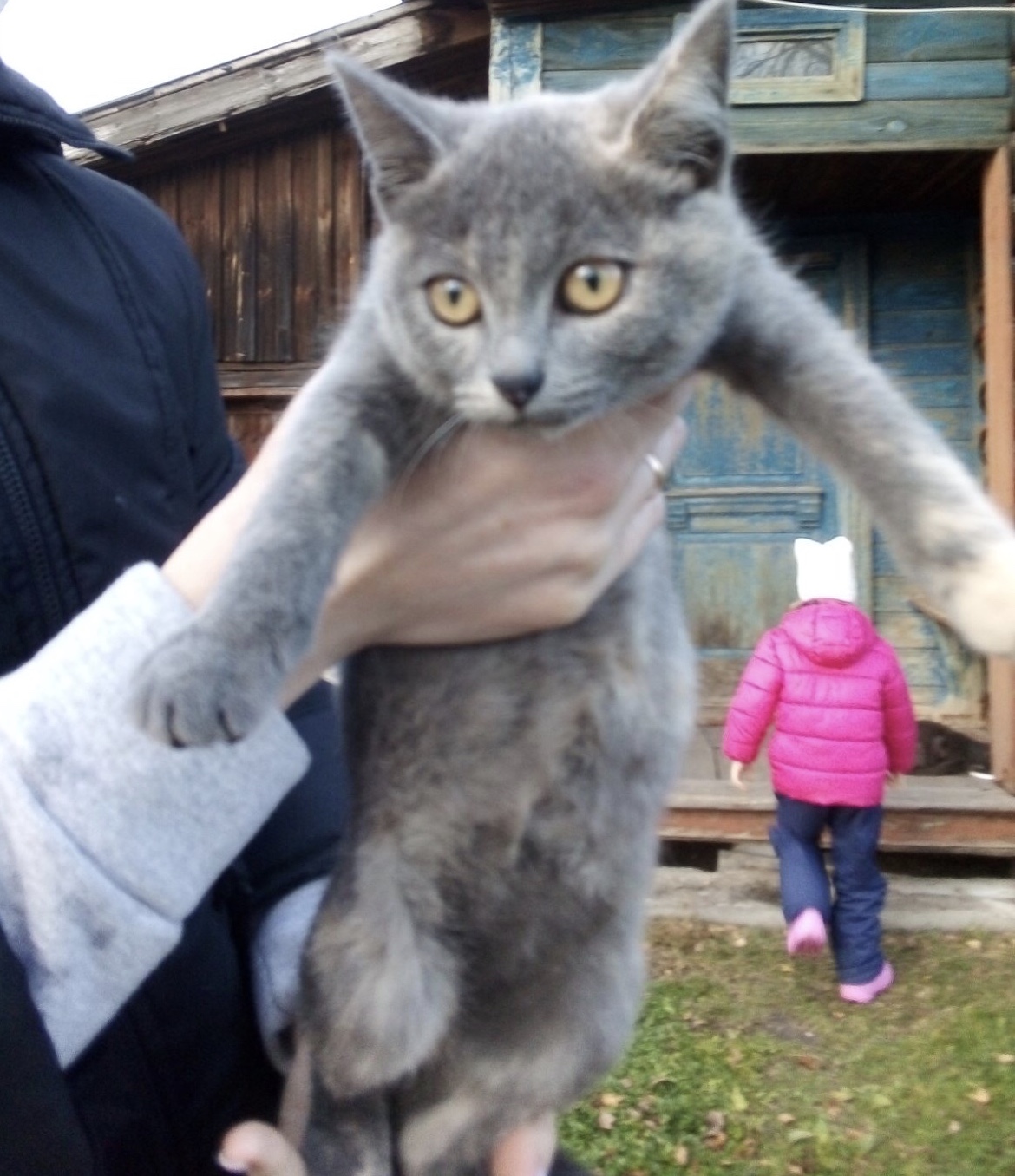 ����� ���� ����� �������?