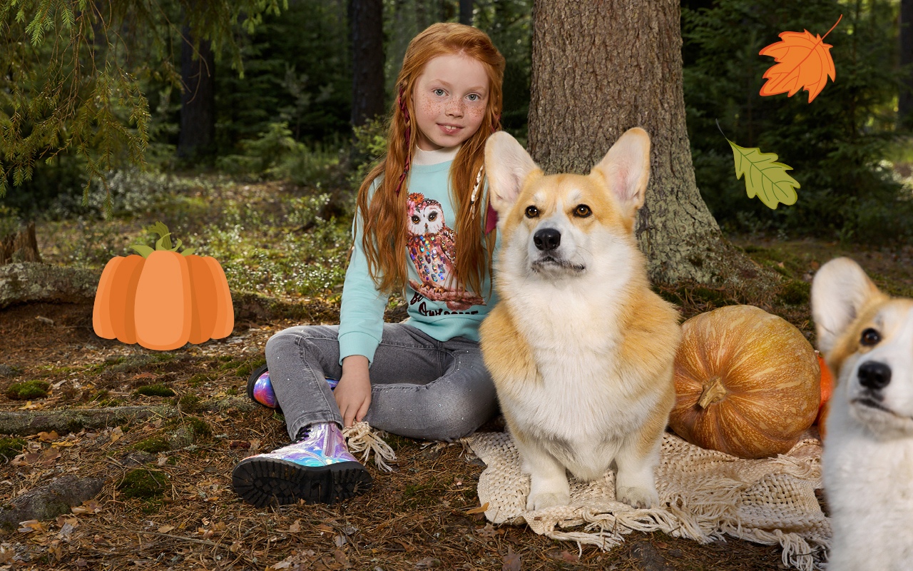 ���� 208. A*c*o*o*l*a. �������! 