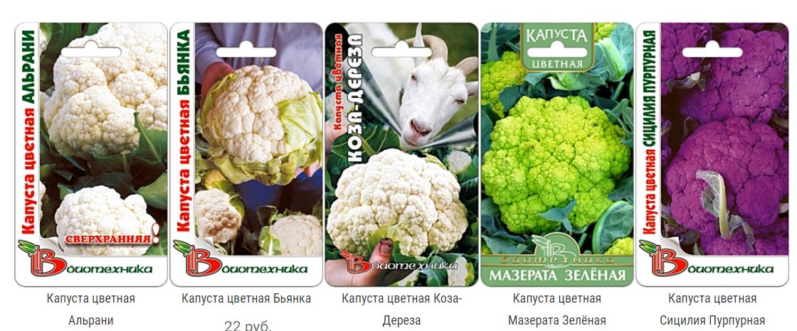 ����� ������ ������� �������. �������� �������� ��������, ���������� ����������� �������!