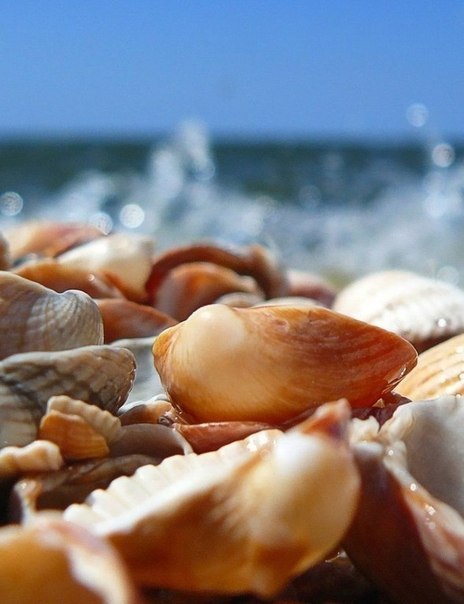 ������ �� ��� ������ �� ������������ ������!!!