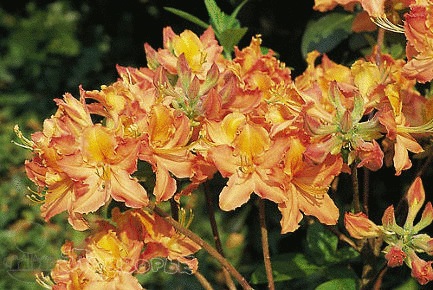 ���� �� 15.11. ������������� ������������, ������ � ��������. ��������� �� ����� 2021 ����