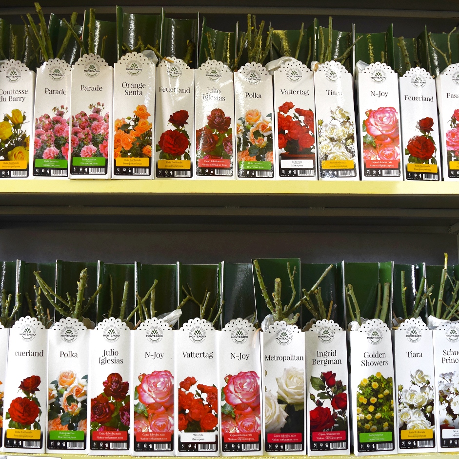 ���� �������. ���� ��������� (������) 5.