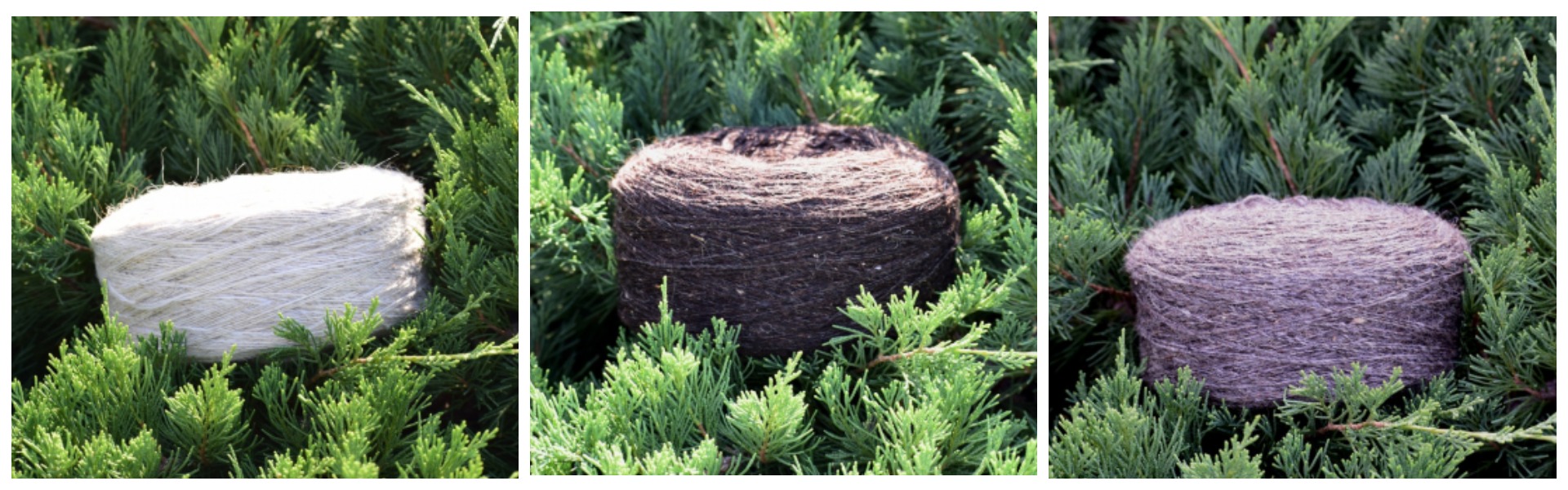 ������ ������ ����???? ��� ��� ���� ��������� ����� ����� 90 ��� �� 500 ������!!!