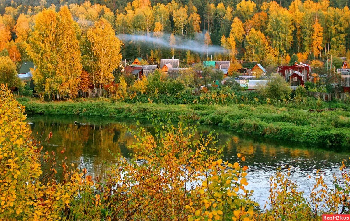 ������� ����������� ����