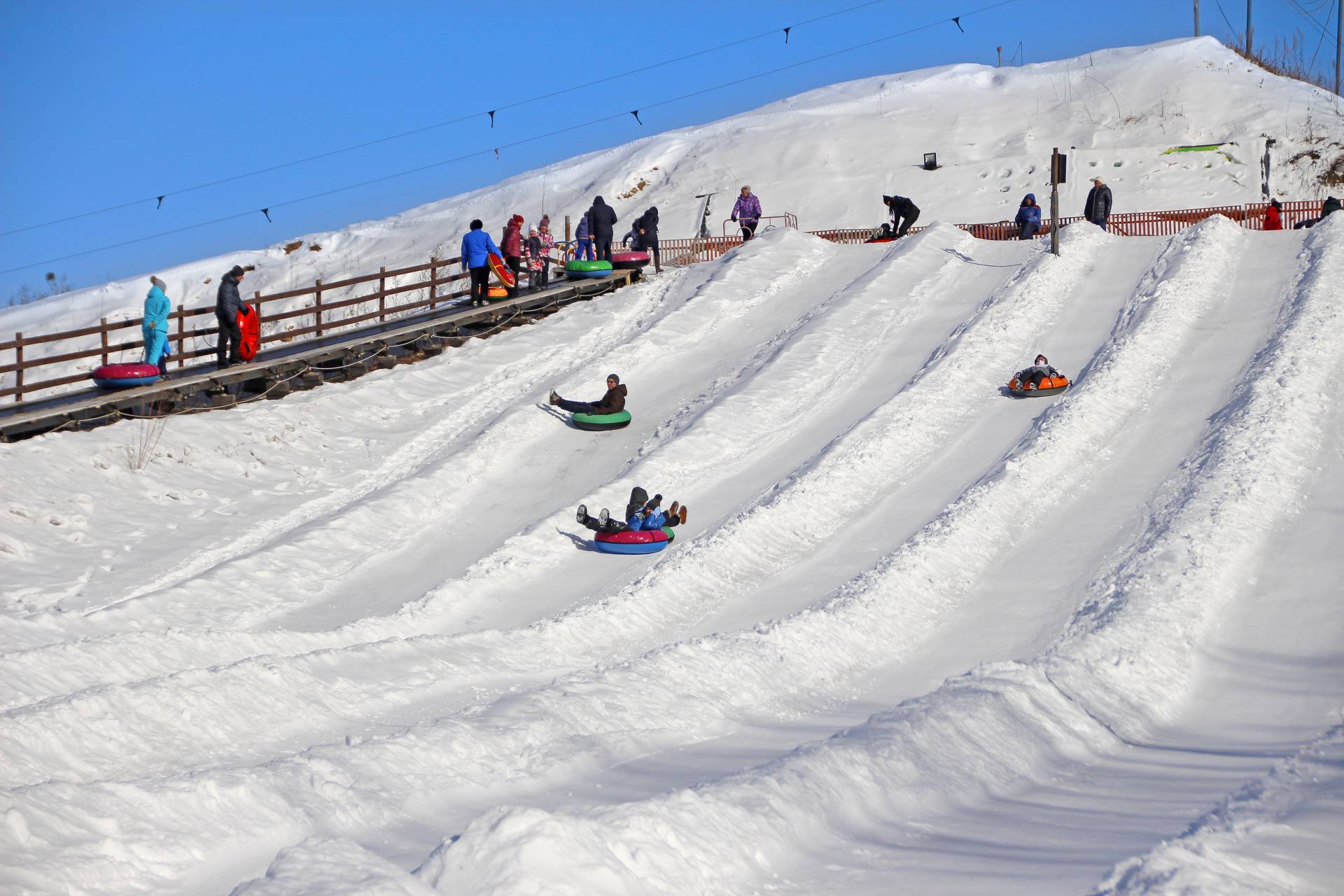 ���� ������� �� 20.11. ��������-����������, ������� � �������� ��� ������ �����!���� ��� ������ -1!