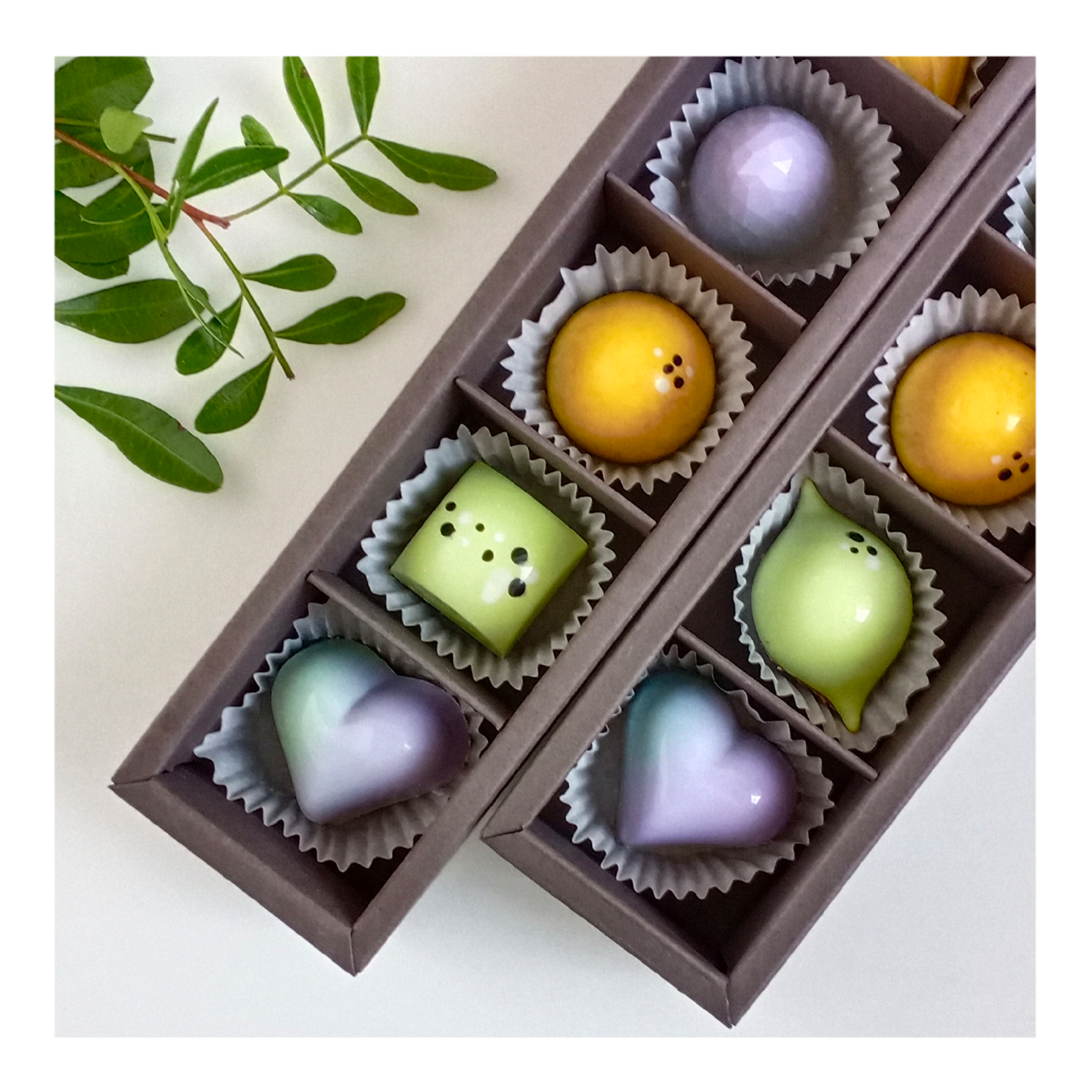 ������ ������� ��� ����