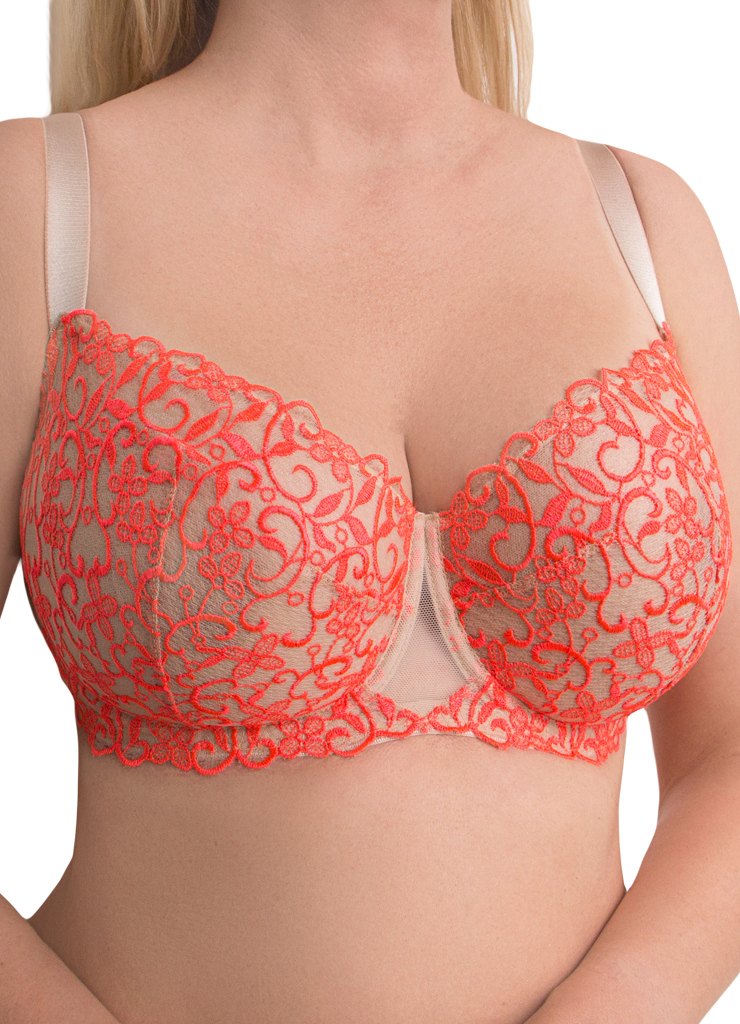 KINGA – ������������ � ����� ������! �����, ��� ���������� ������ 827-SC LIZA ����, ����� �� ����� � �������� ��� ������� ������, ������ ��� ������ ����, � ������ ������ ��������.