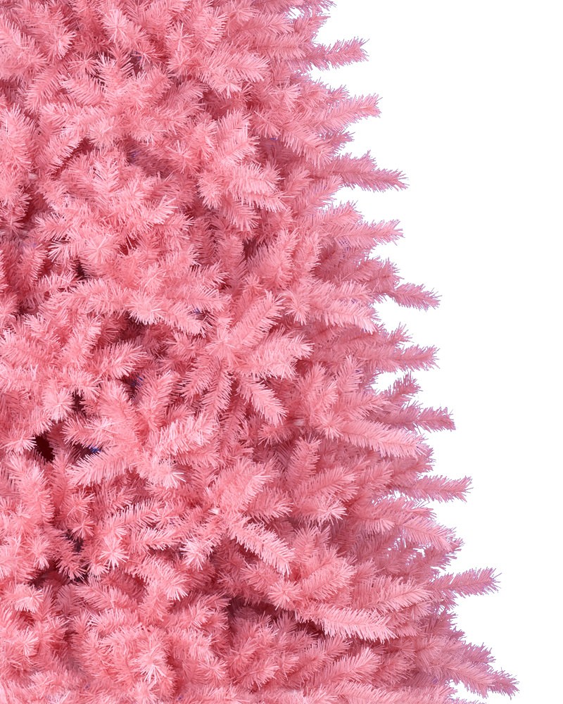 ������� ����.