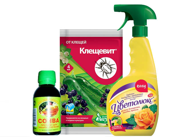 ���������. �������� ����������� ������� ��� ����, ����, ���� � ����. ������� �����. �������� �� ���������. ���������. ���������