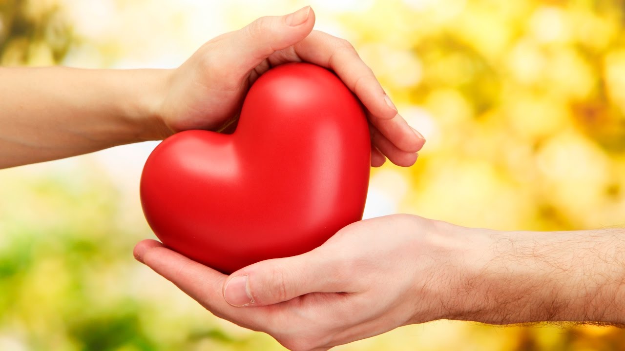 ���� �� 15.11. �������������� ������-15/20. ��������� ������, �������������� ������� ��� �������� � �����, �������, �������������� ��������, ������� � ��! �������� ����� ������. �����!