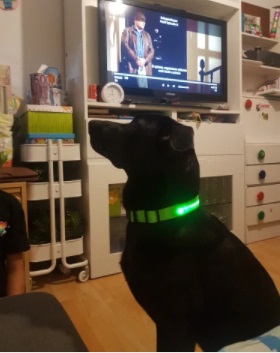 ���� �� 17.11.2020�. ��� �� ����� �������� ������ �������? �@��������! ���������� ������� �� Usb - 1